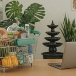 Fontein Tuin, Calathea & Slim Wonen Tips voor Dagelijks Gemak